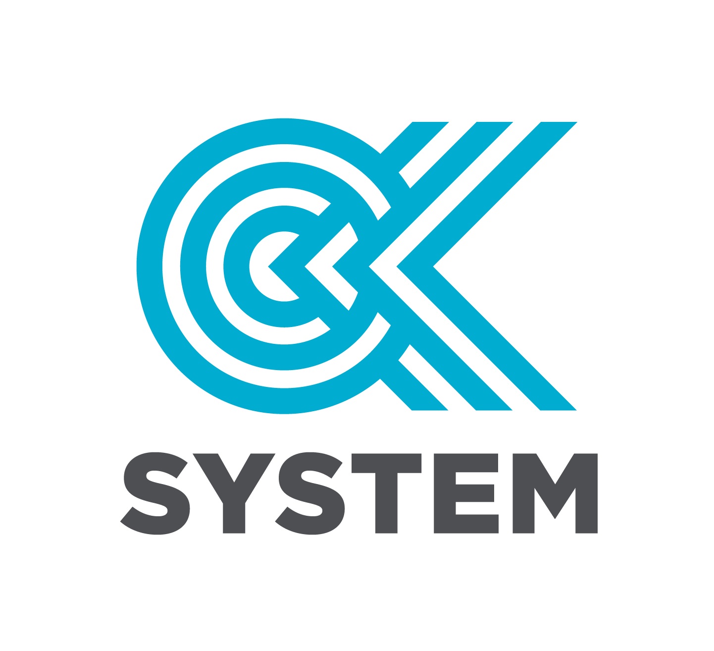 OK SYSTEM logo nowe