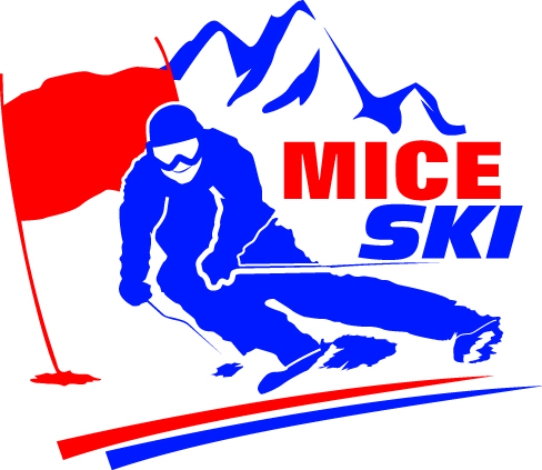 MICE SKI 2015